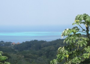 Coral Reefs from high atop in Honduras