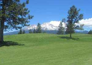 The view from the 6 hole at Mt. Shasta Resort