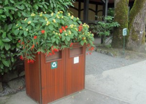 Even the trash cans are flowerbeds!!!