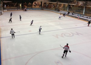 Edmonton Hockey