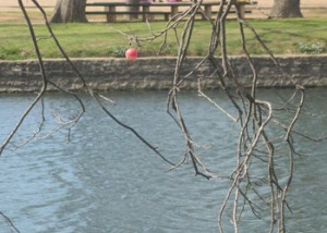 Hang the bobber in the tree!