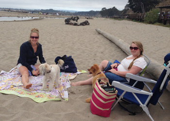 A perfect day!  The beach, my girls and their kids!