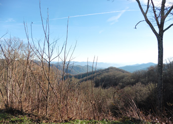 View of Smokie Mountain NP, from near Clingman Dome