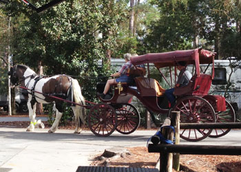 You can take a carriage ride through the campground