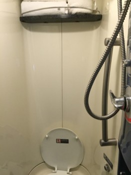 Toilet/Shower/ towel rack